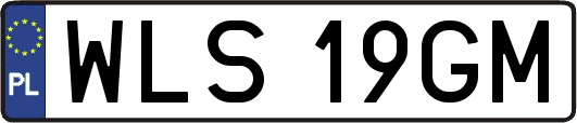 WLS19GM