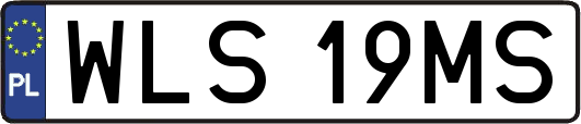 WLS19MS