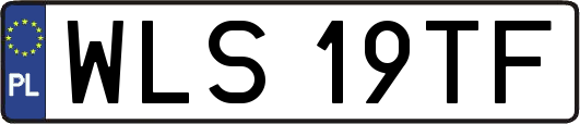 WLS19TF