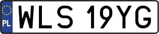 WLS19YG