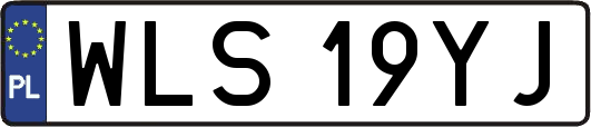 WLS19YJ