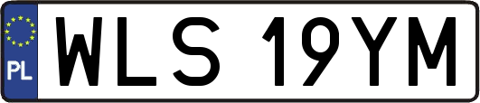 WLS19YM