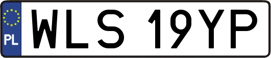 WLS19YP