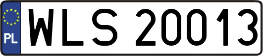 WLS20013