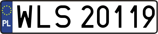 WLS20119