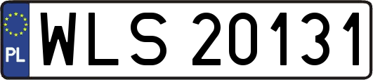 WLS20131