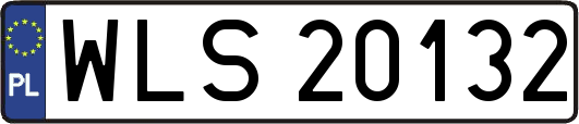 WLS20132
