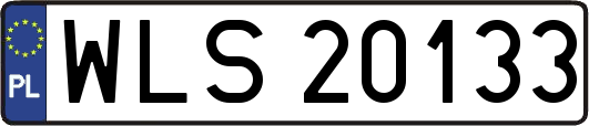 WLS20133