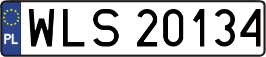 WLS20134