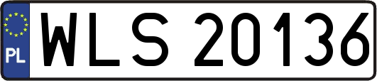 WLS20136