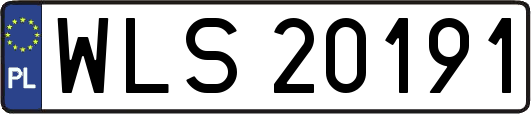 WLS20191