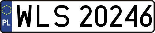 WLS20246