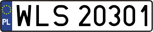WLS20301