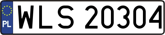 WLS20304