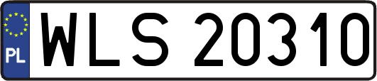 WLS20310