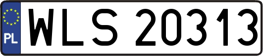 WLS20313