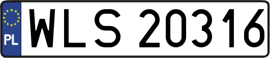 WLS20316