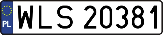 WLS20381