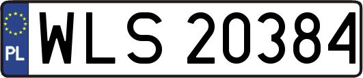 WLS20384