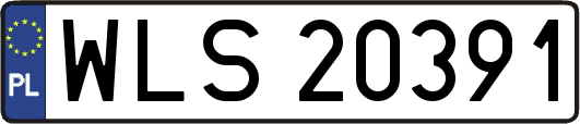 WLS20391