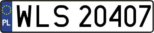 WLS20407