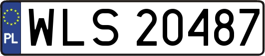 WLS20487