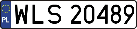 WLS20489
