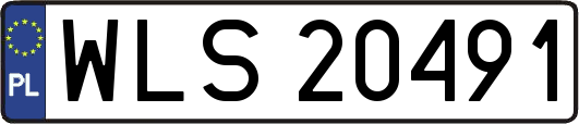 WLS20491