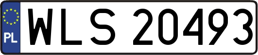 WLS20493