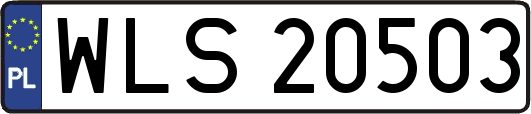 WLS20503