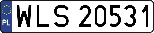 WLS20531
