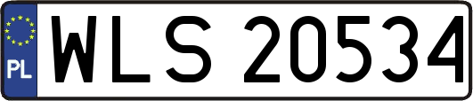 WLS20534