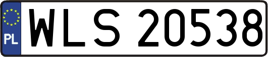 WLS20538