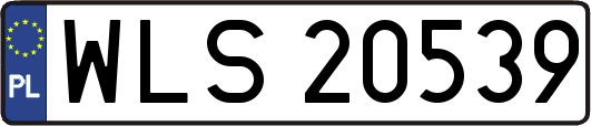 WLS20539