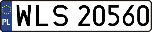 WLS20560