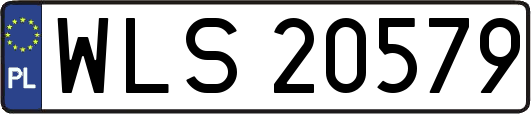 WLS20579