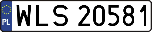 WLS20581