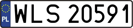 WLS20591