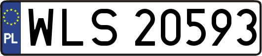 WLS20593