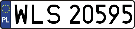 WLS20595
