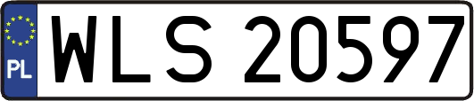 WLS20597