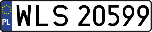 WLS20599