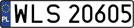 WLS20605