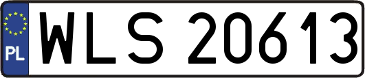 WLS20613