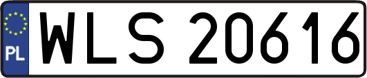 WLS20616