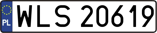 WLS20619