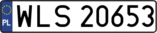 WLS20653