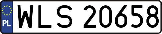 WLS20658
