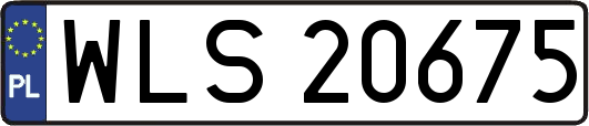 WLS20675