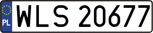 WLS20677